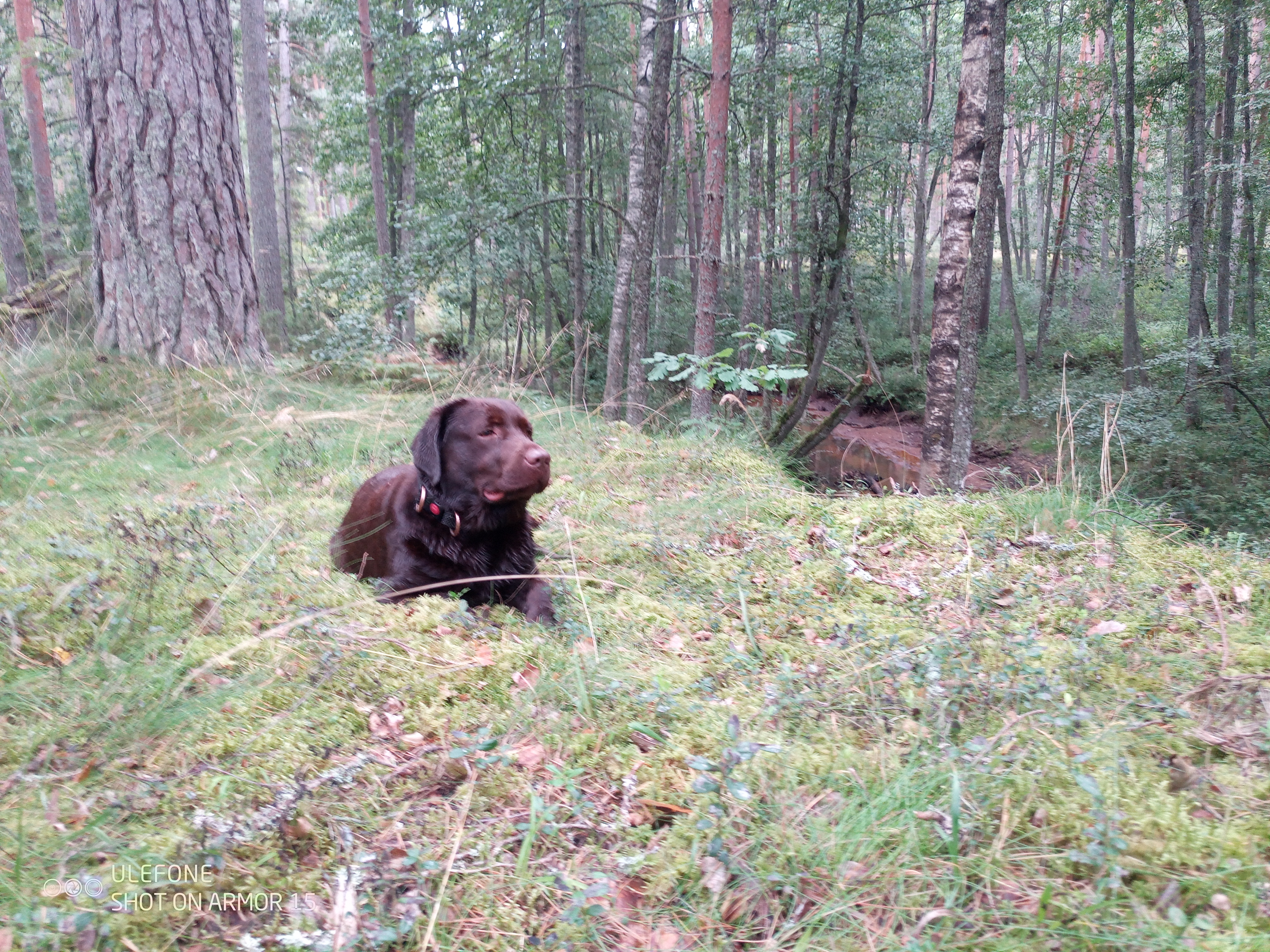2 päevane loodusretk Veerale